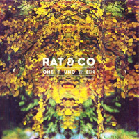 RAT & CO. 